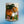 Load image into Gallery viewer, XL Lucky Spark Cup - Jungle Tiger
