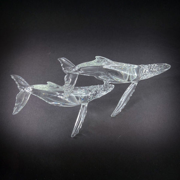 Double Humpback Whale