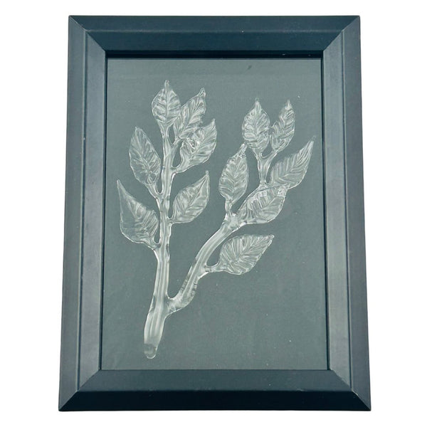 Shadow Box - Crystal Botanical Specimen