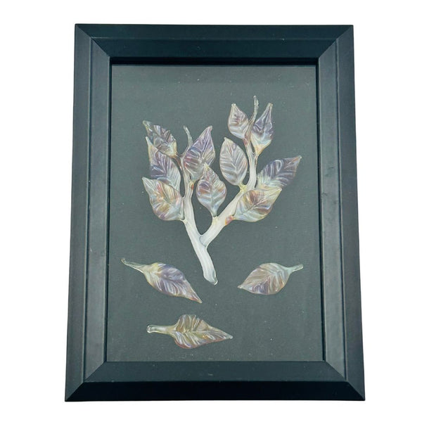 Shadow Box - Amber Purple Botanical Specimen