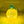 Load image into Gallery viewer, Pumpkin Nightlight - Velvet Gourd
