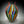 Load image into Gallery viewer, Mixed Cane Foglio (Large)
