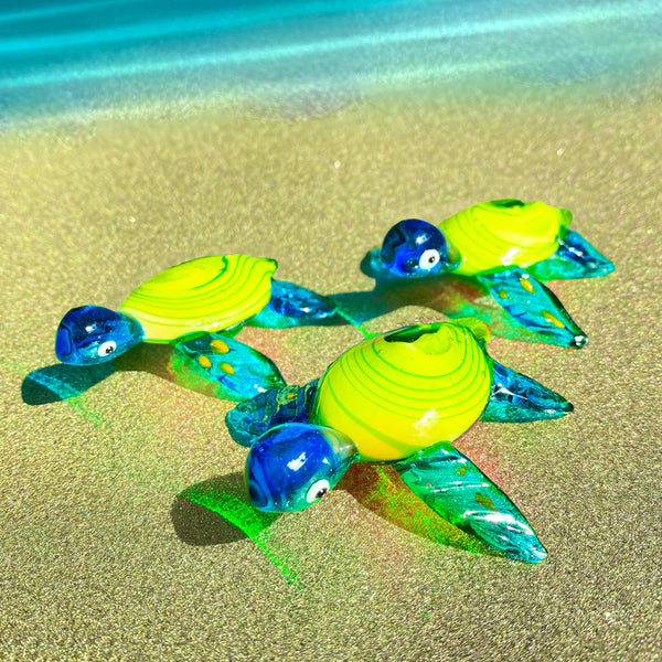 Sea Turtle